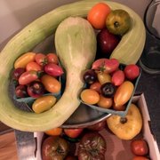 Photo of Plantae - Tivoli, NY, United States