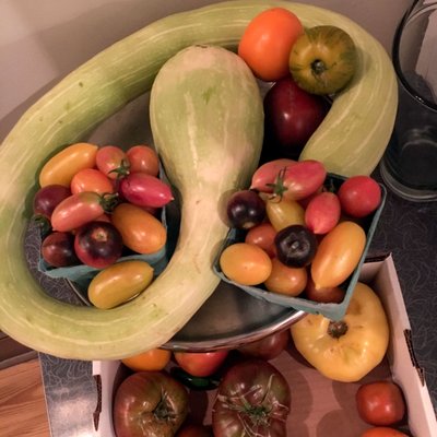 Photo of Plantae - Tivoli, NY, US.