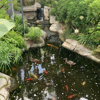 Humphreys Half Moon Inn - Koi pond - San Diego, CA