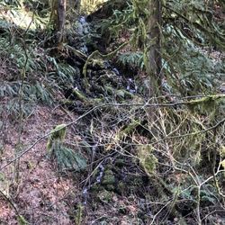 Barlow Wayside Park - Hard to see, but one of the falls on the Falls loop.