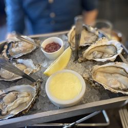Seulement Sea - Oysters