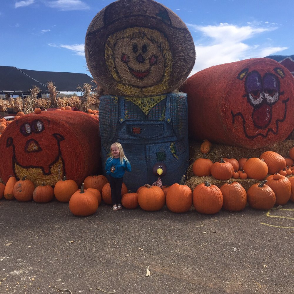 The painted hay bails....enough said. They are all just too cute!!