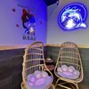 Dolphin Tea gift card
