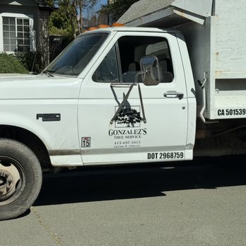 Gonzalez's Tree Service - Tree Services Near Me Gonzalez's Tree Service - Tree Services Near Me