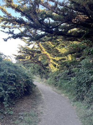 Gualala Point Regional Park by null