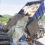 Photo of Extreme Dumpster Services