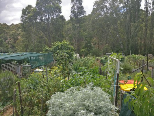 Collingwood Children's Farm by null