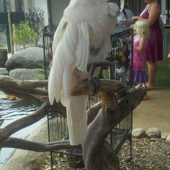 Free Flight - Animal Shelters Near Me - Del Mar, California Free Flight - Animal Shelters Near Me - Del Mar, California