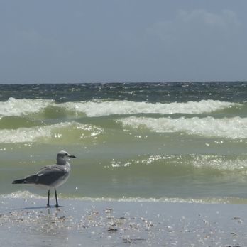 Siesta Key Beach - Beaches Near Me - Sarasota, Florida