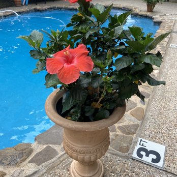 Elm Creek Manor - Bed & Breakfast Near Me - Muenster, Texas Elm Creek Manor - Bed & Breakfast Near Me - Muenster, Texas