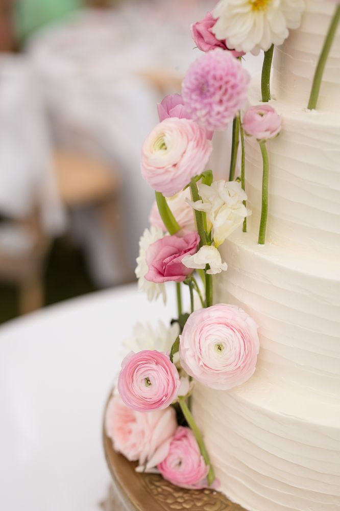 PITTSFIELD GARDEN CENTER Updated August 2024 4441 Route 100