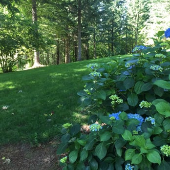 Timberlake Campground and RV Park - Dog run area - Campgrounds Near Me - Stevenson, Washington