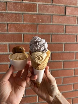 JoJo's Creamery by null