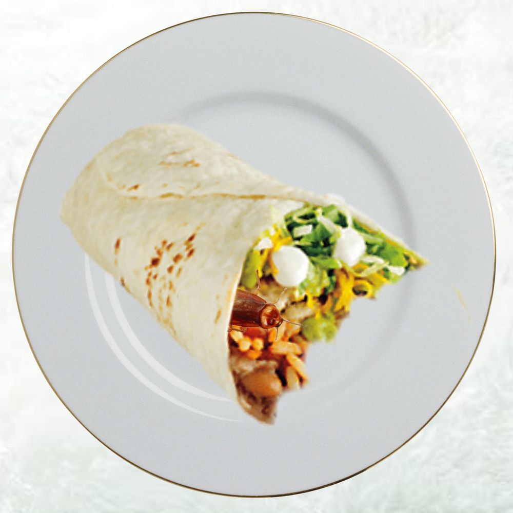 TACO BELL Updated September 2024 34 Photos & 63 Reviews 11751