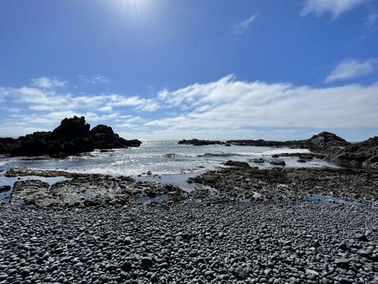Yaquina Head Lighthouse by null