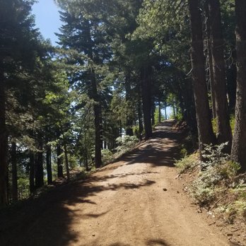 Cuyamaca Peak - Shades of green - Hiking Near Me - Descanso, California Cuyamaca Peak - Shades of green - Hiking Near Me - Descanso, California