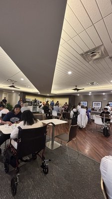 The Plumeria Lounge by null