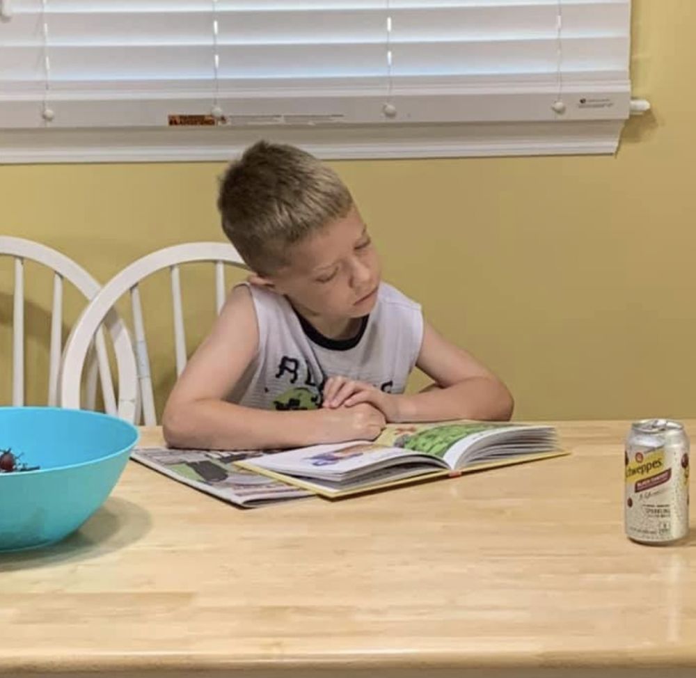 Reading Ignites Imagination - reading tutor in Fanwood, NJ