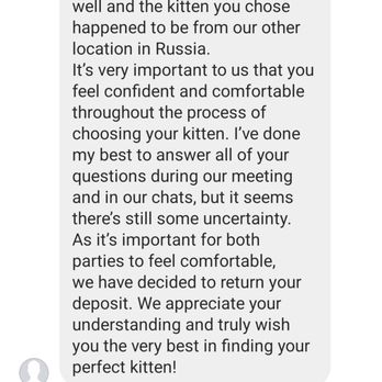 Toropova Kittens Cattery - Pet Breeders Near Me - Philadelphia, Pennsylvania
