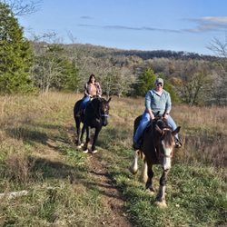 The Clydesdale Experience