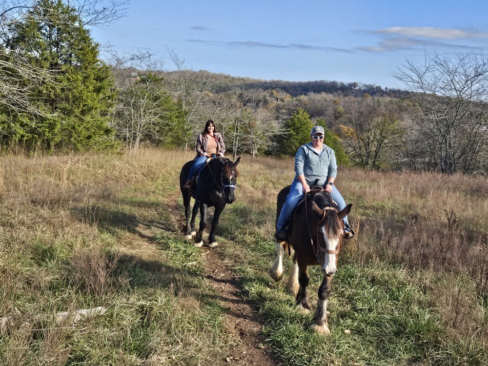 The Clydesdale Experience - equestrian in Taneyville, MO