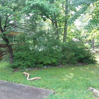 Under Cuts Lawn - This is the before - Lawn Services Near Me Under Cuts Lawn - This is the before - Lawn Services Near Me