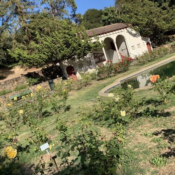 Morcom Municipal Rose Garden - Diverse assortment of roses by the water - Parks Near Me - Oakland, California