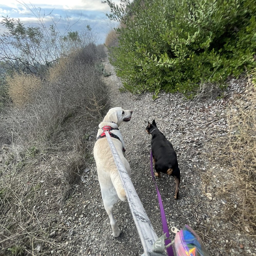 Elyria Canyon Park - Hiking Near Me - Los Angeles, California