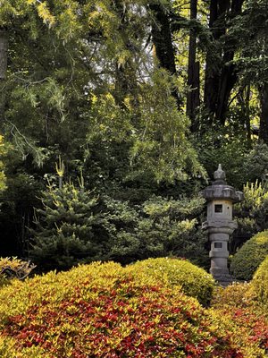 Seattle Japanese Garden by null