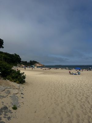 Singing Beach by null