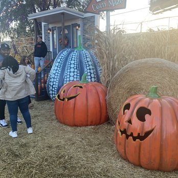 JACK’S PUMPKIN POP-UP - TEMP. CLOSED - Updated December 2025 - 359
