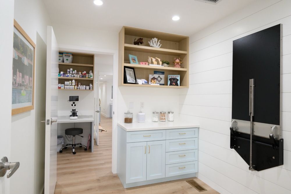 The Beach House Vet Image