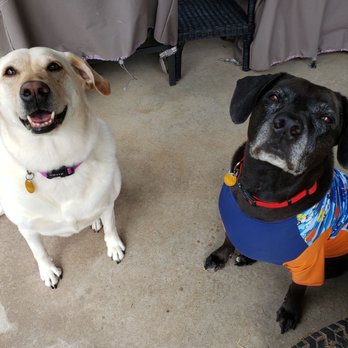 Pawdicure - Pet Groomers Near Me - Tulsa, Oklahoma Pawdicure - Pet Groomers Near Me - Tulsa, Oklahoma