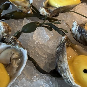 San Laurel - These oysters were not our favorite due to the passion fruit foamy topping. I'd ask for the topping to be on the side. - Spanish Near Me - Los Angeles, California San Laurel - These oysters were not our favorite due to the passion fruit foamy topping. I'd ask for the topping to be on the side. - Spanish Near Me - Los Angeles, California