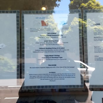 KitTea - Pet Adoption Near Me - San Francisco, California