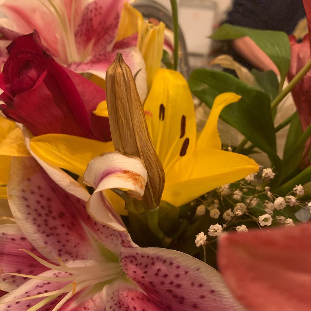 Alexa's Flowers - Florists Near Me - Arcadia, California