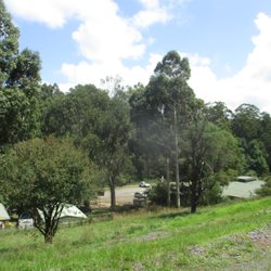 Cockatoo Station - View