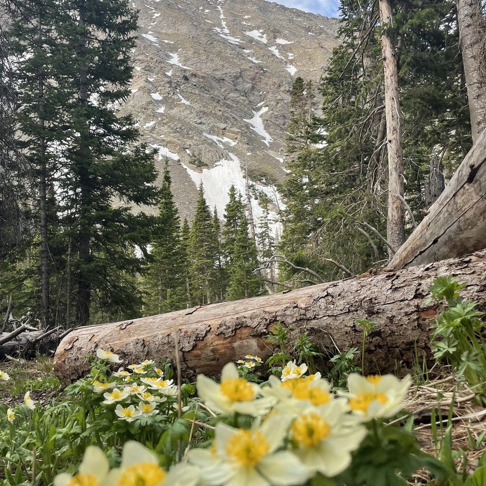 Humbolt Peak - Hiking Near Me