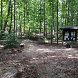 Cornwallis Road Park - Part of the disc golf course I think