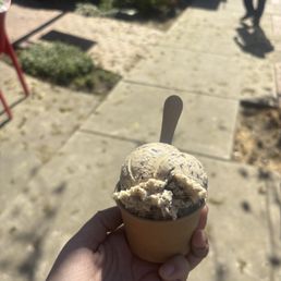 fresh mint chocolate chip!
