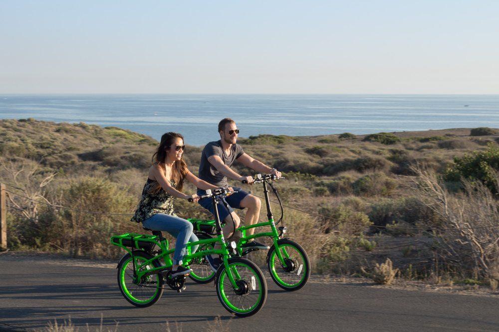 Pedego Electric Bikes Palmetto Bluff Logo