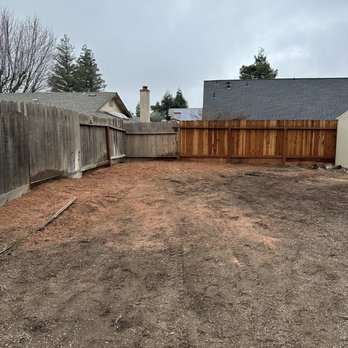 Clark's Tree Works - After! All clean, no stumps - Tree Services Near Me - Modesto, California