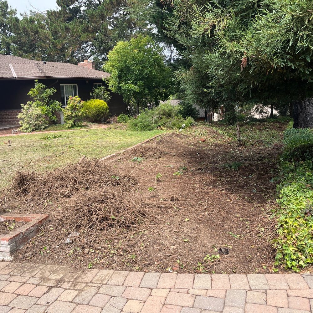 Kiwi Pavers Inc - Before... we meet kiwi pavers - Masonry/Concrete Near Me - Concord, California Kiwi Pavers Inc - Before... we meet kiwi pavers - Masonry/Concrete Near Me - Concord, California