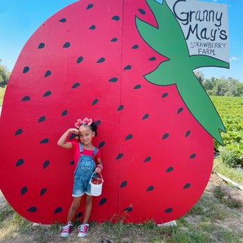 Granny Mays Strawberry Farm - Pick Your Own Farms Near Me - Granite Bay, California Granny Mays Strawberry Farm - Pick Your Own Farms Near Me - Granite Bay, California
