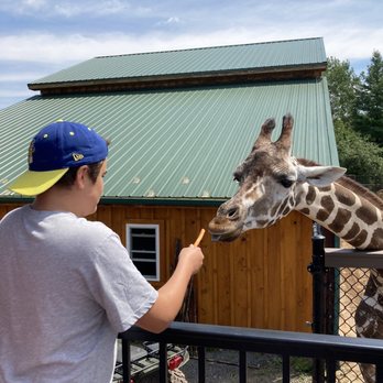 The Wild Animal Park - The adorable deer with my son - Zoos Near Me - Chittenango, New York The Wild Animal Park - The adorable deer with my son - Zoos Near Me - Chittenango, New York