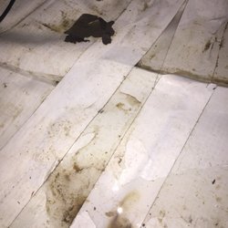 1 800 Busydog 29 Photos 110 Reviews Waterproofing 1600 Providence Hwy Walpole Ma United States Phone Number Waterproofing 1600 Providence Hwy