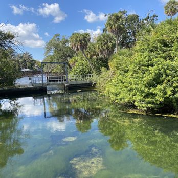 Sulphur Springs Pool - Springs where I see manatees often. - Swimming Pools Near Me - Tampa, Florida Sulphur Springs Pool - Springs where I see manatees often. - Swimming Pools Near Me - Tampa, Florida
