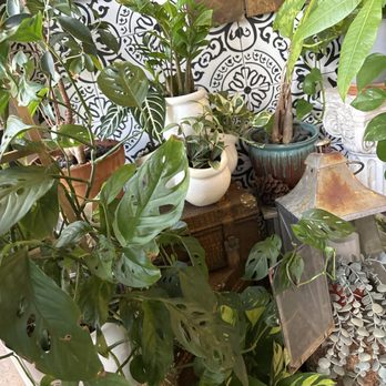 Charm Thai Kitchen & Coffee - Oh the ambiance! - Thai Near Me - Henderson, Nevada