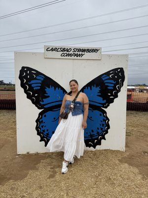 Carlsbad Strawberry Company by null