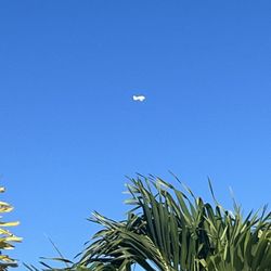 Venture Out Resort